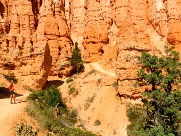 99CDD23359B9B8DA18B126