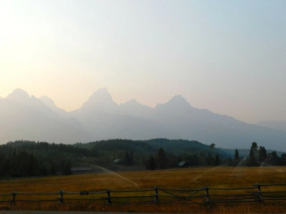 9917FB3359B1EA832D4016