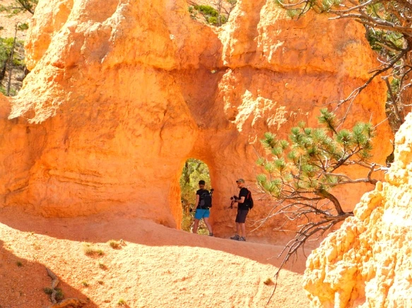 99FDD73359B87AEC0EEFEB