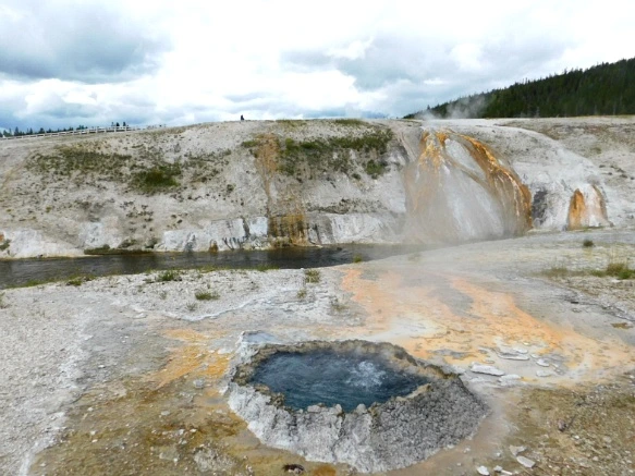 994326425B39A659061534