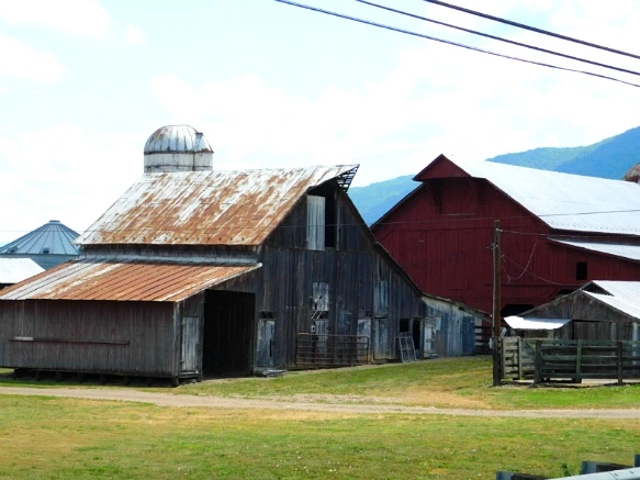 213BEC3D594C77471221FB