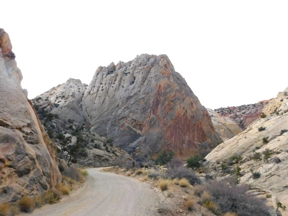 99050E335A18D4A71D42DD