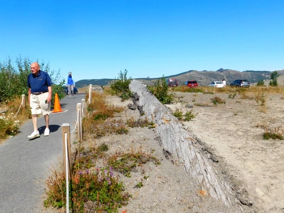 99BC453359A4D35A1ACF12