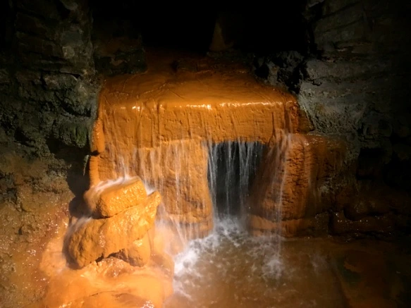 99F33B3359D8A551360AF4