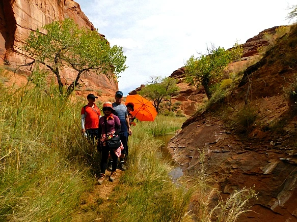 9944A1435BBC2B7303B91B