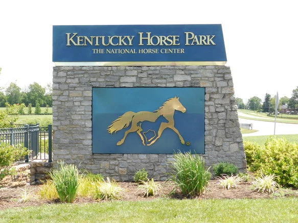 26256333597D19B428804B