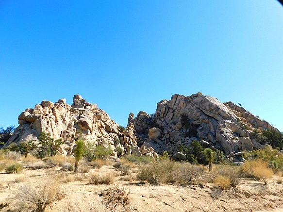 996ABF4F5BE11C9F3BCACE