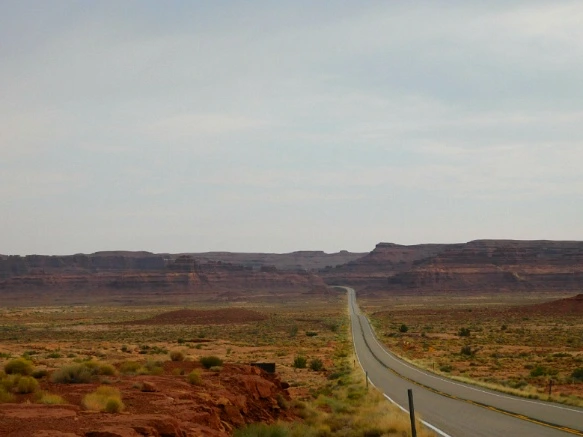 991DD43359B5E6FD26577B