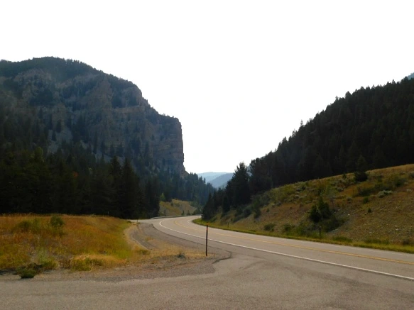 993EF03359B1EA9A2B4C83