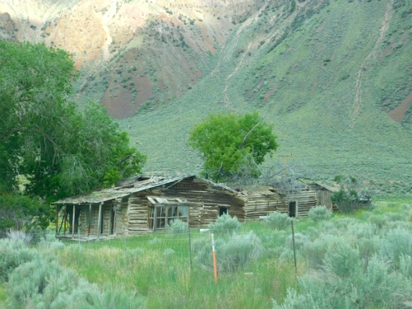 99B60A355B2F29402EF174