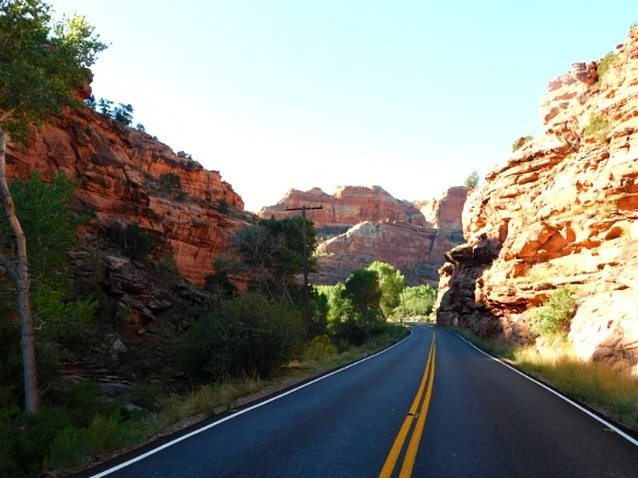 99E1D73359B74D662CD610