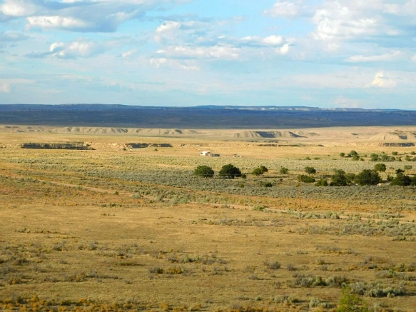 991A6F3359C3353601E0B3