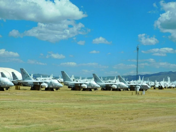 9909FE3359C87DA8390CDB