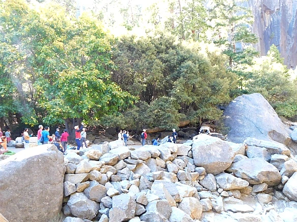 99847C3C5BD672313155E8