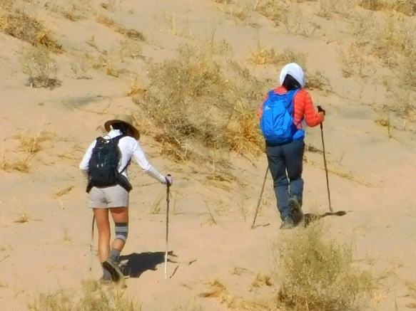 99A685335A20B0E710F4CC