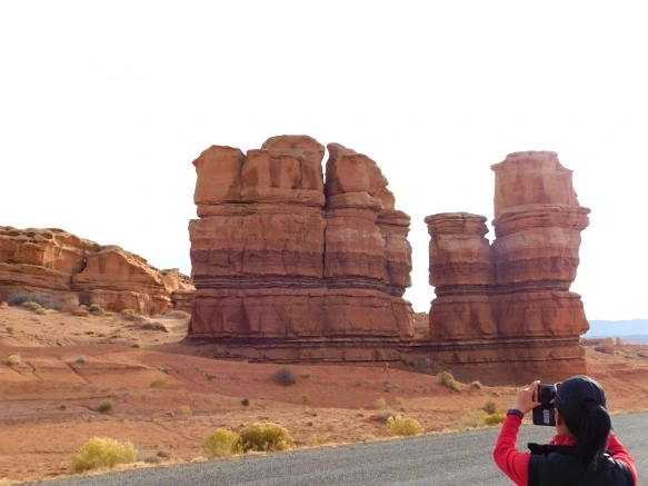 99EE25335A18D498200301