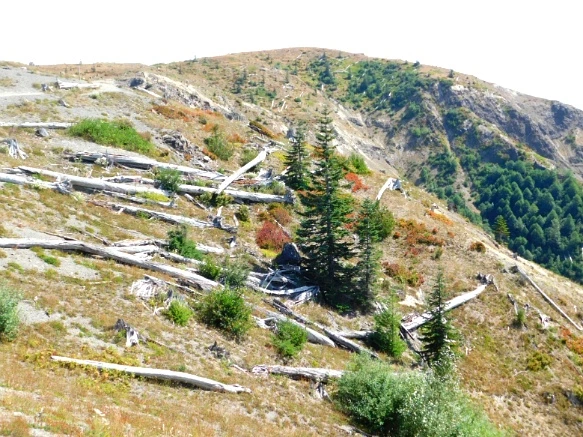 99D4F53359A4D35D08BB9A