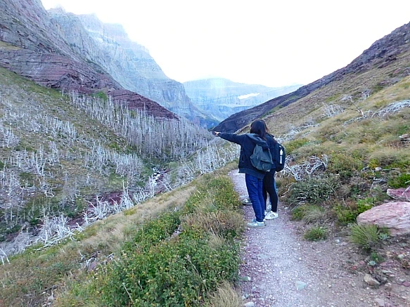 991F8D4A5B95B38303205D