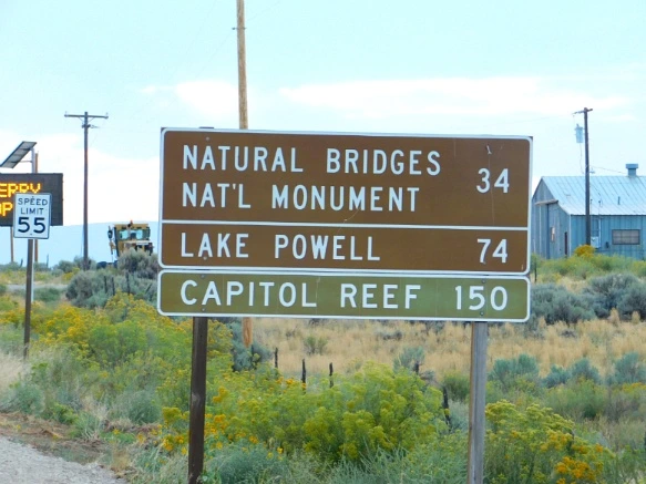 99448D3359B482D314F8B4