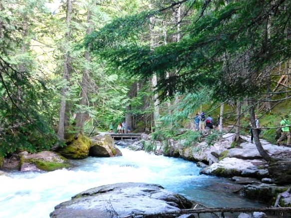 99A728475B38135322B412