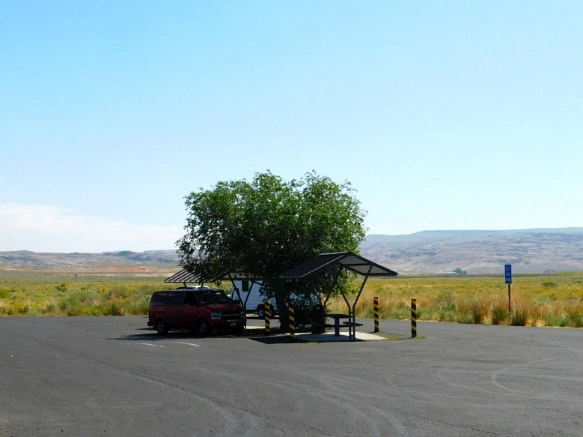 9941393359A77A0C1C54A7