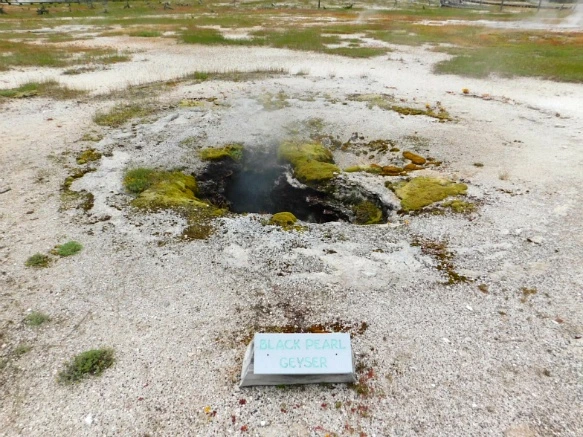 9967E9425B39A62C015815