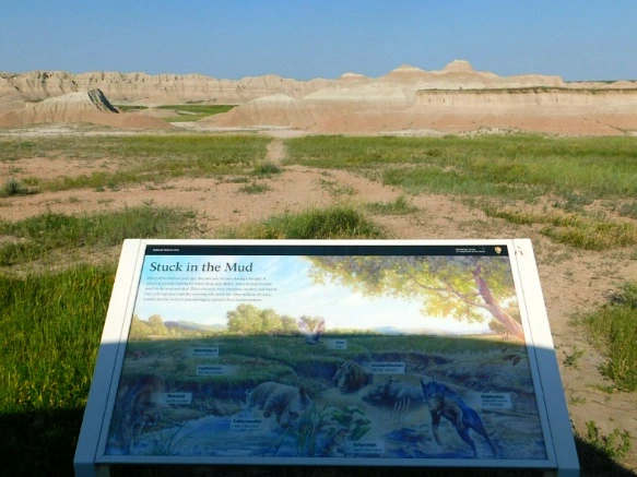 9957B24C5B480CA52DB958