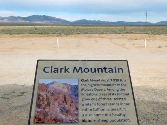 2642623C57782A62353384