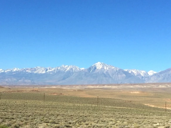 241FCD44576F521814C43C