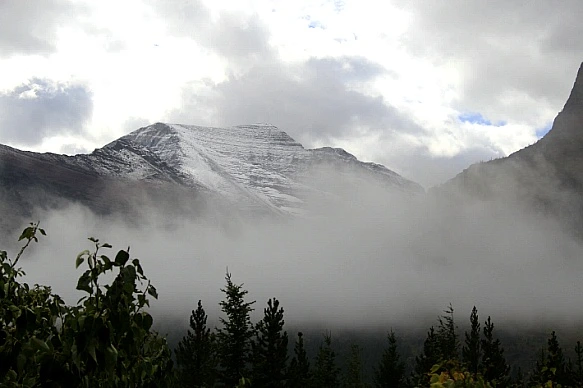 99216E445BA30DFA295059