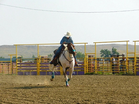 997566405B7A3415206085