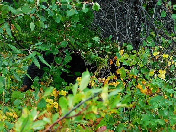 99DFED435B8DC250020B03