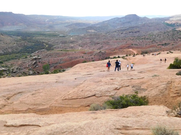 9973103359B31A7B11E520