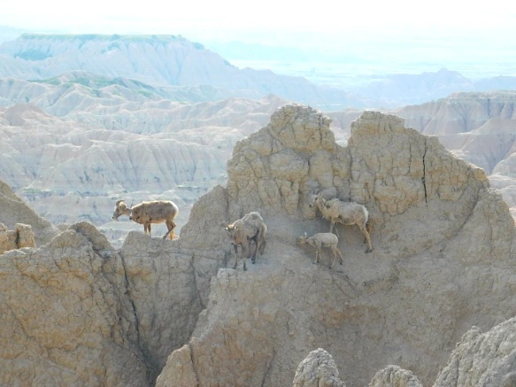 990E0A485B480AC834A937