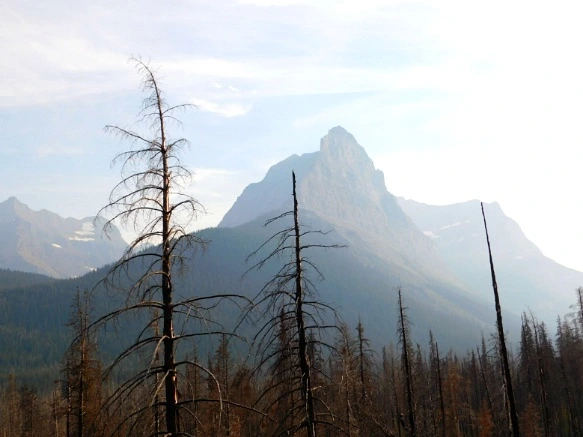 9936183359A1039817CE9D