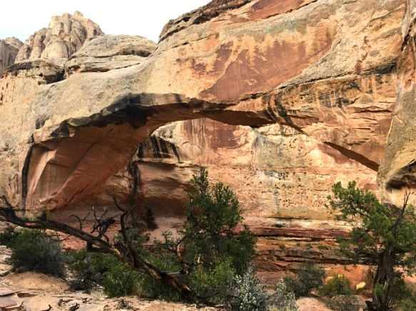 9966983359B74FF1301288