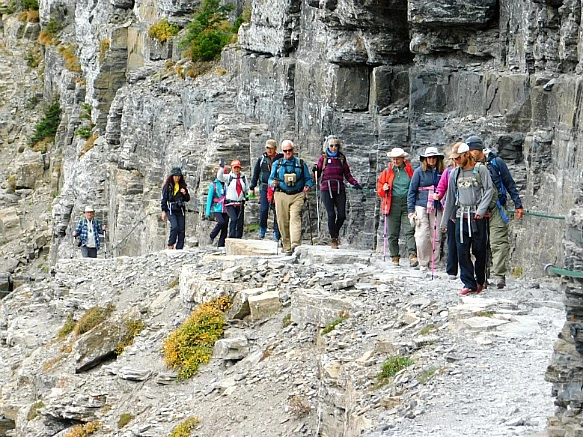 99FBD64C5B9F2E4E121440