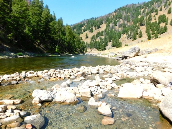 99FDEF3359AA064730DCC2