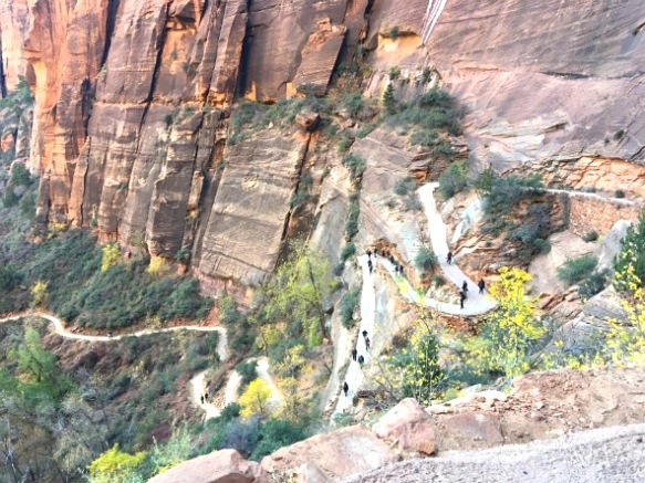 9979A7335A1CB76F04EFF0