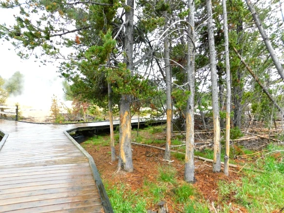 99FA0C495B39A82D259710