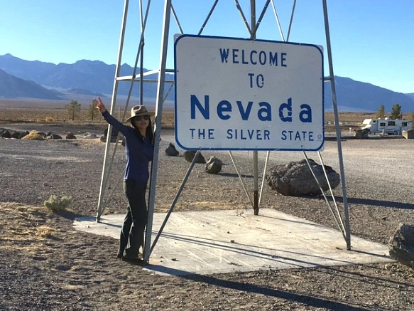 99C132335A24BD332C6E5D