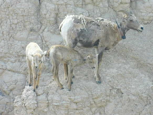 9993A8485B480ACD2EC789