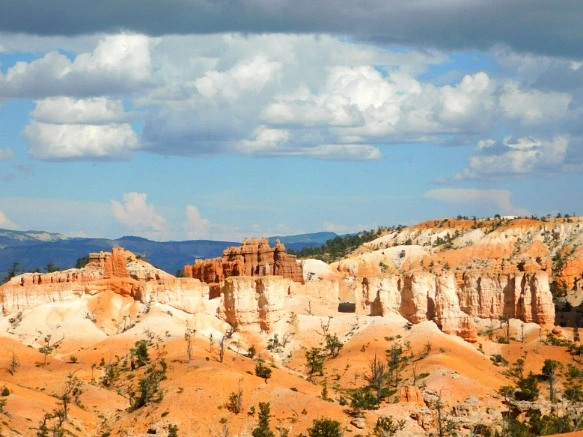 99DE923359B9BBC01F787A