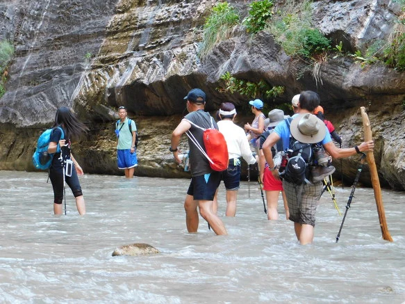 9987043359BB12FB350629