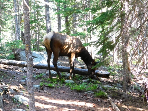 9945BA495B7266D00A5C14