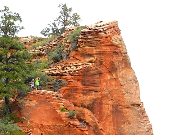 995842465BC6984C19CFB2