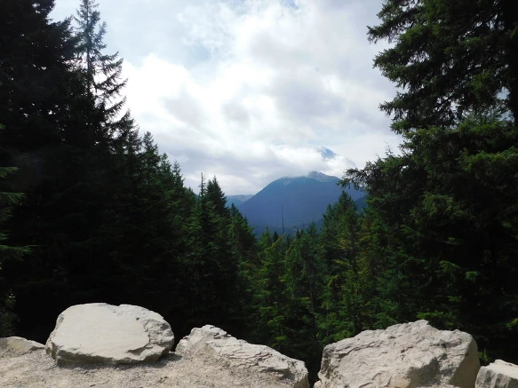 99DAF93359A4AB2503CD1B