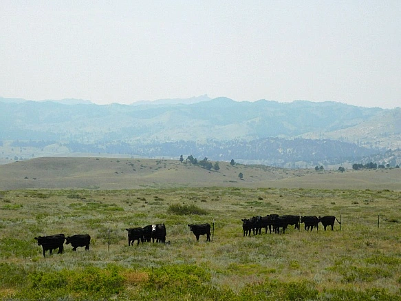 99D3F94F5B7653101DB749