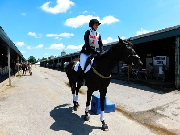 2359ED33597D171D2B5613