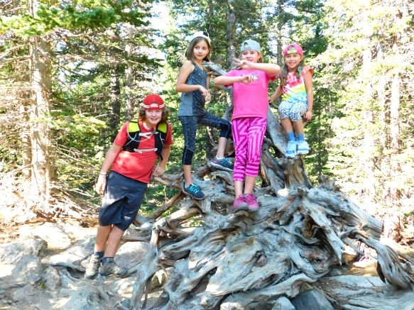 999989495B7266D33725D9